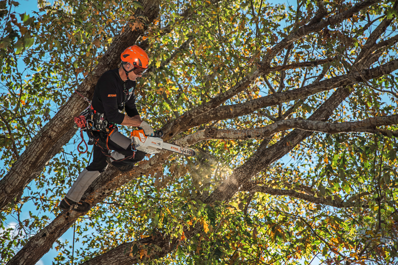 Load image into Gallery viewer, STIHL MSA 220 TC-O Battery Top Handle Chainsaw
