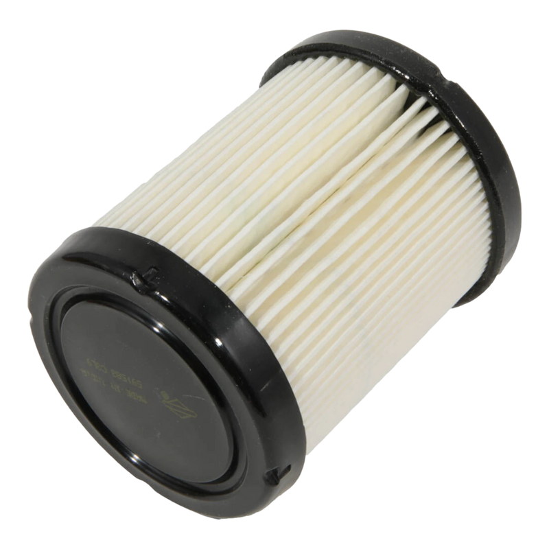 Load image into Gallery viewer, Briggs and Stratton 591583 Air Filter OEM