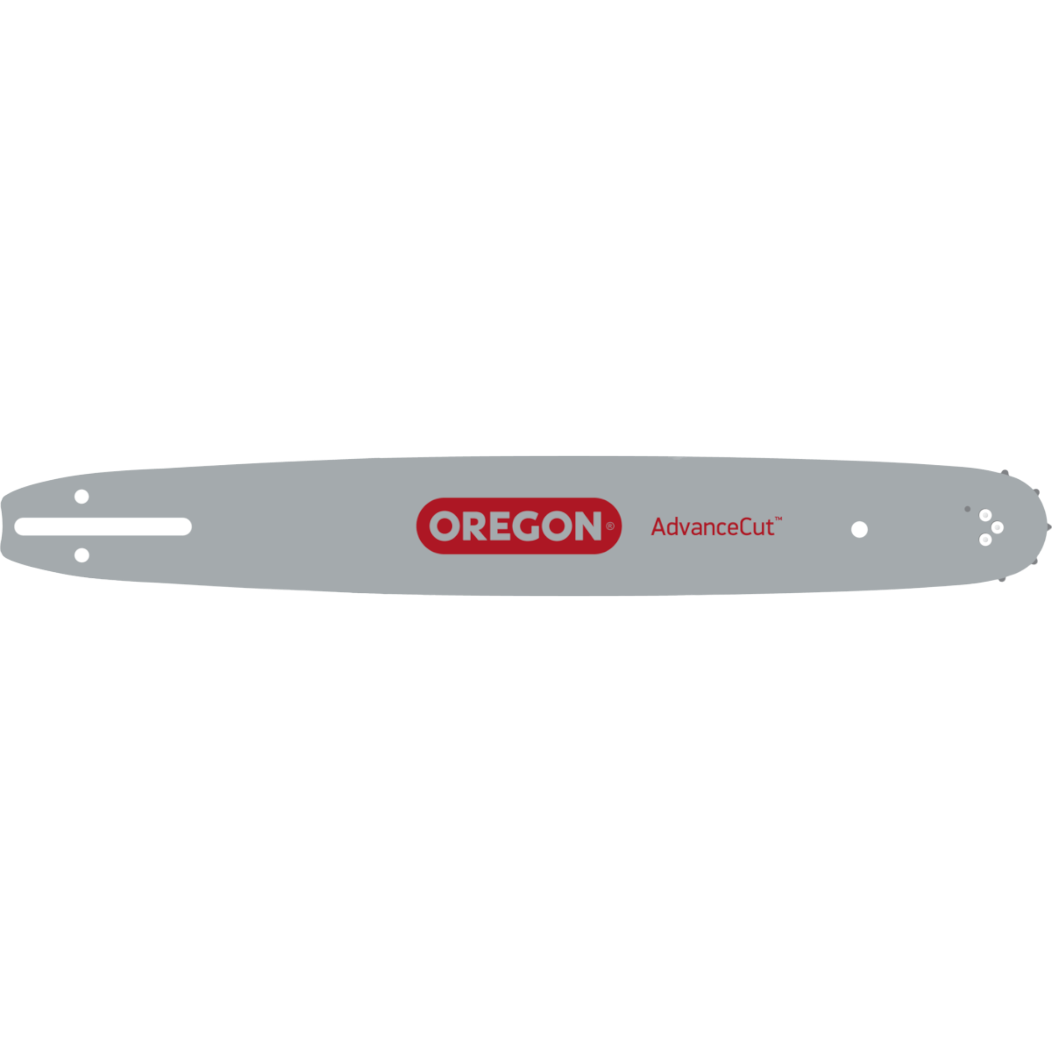 Oregon 16 inch Chainsaw Bar 160SXEA041 – My Parts Store
