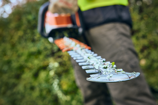 STIHL HSA 100 Battery Trimmer 