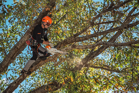 STIHL MSA 220 TC-O Battery Top Handle Chainsaw 