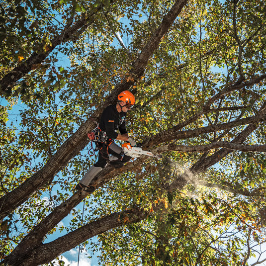 STIHL MSA 220 TC-O Battery Top Handle Chainsaw 