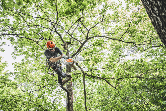 STIHL MSA 161 T Battery Chainsaw 