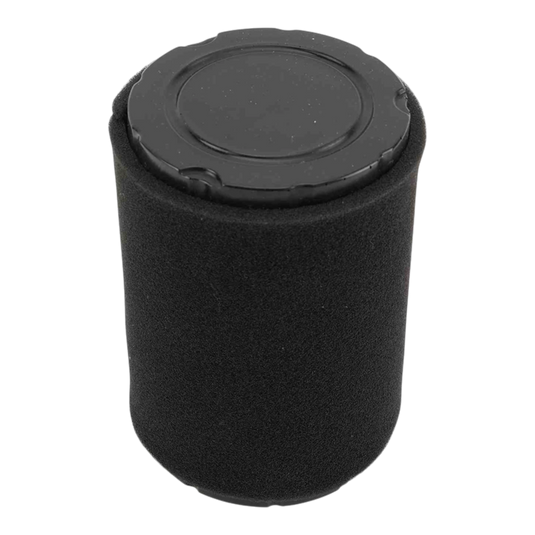 Briggs and Stratton 594201 Air Filter Replacement