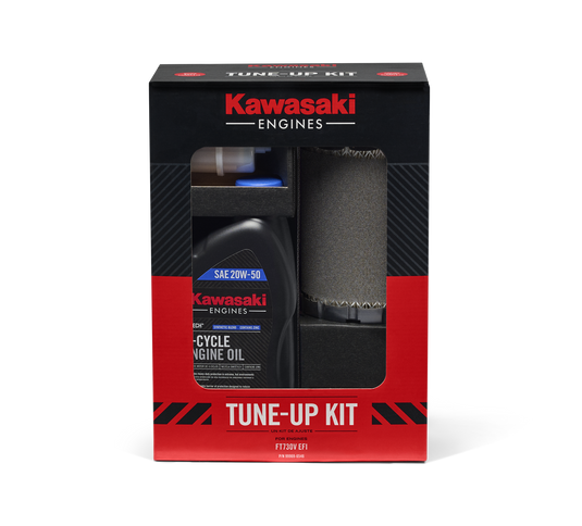 Kawasaki FT730V EFI Tune Up Kit 99969-6674