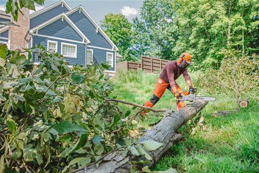 STIHL MSA 220 C-B 16 Inch Battery Chainsaw 
