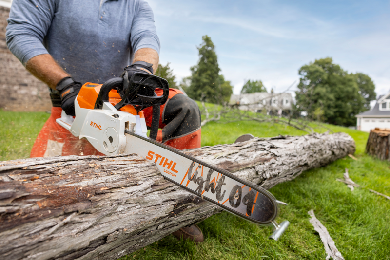Load image into Gallery viewer, STIHL MSA 220 C-B 16 Inch Battery Chainsaw 
