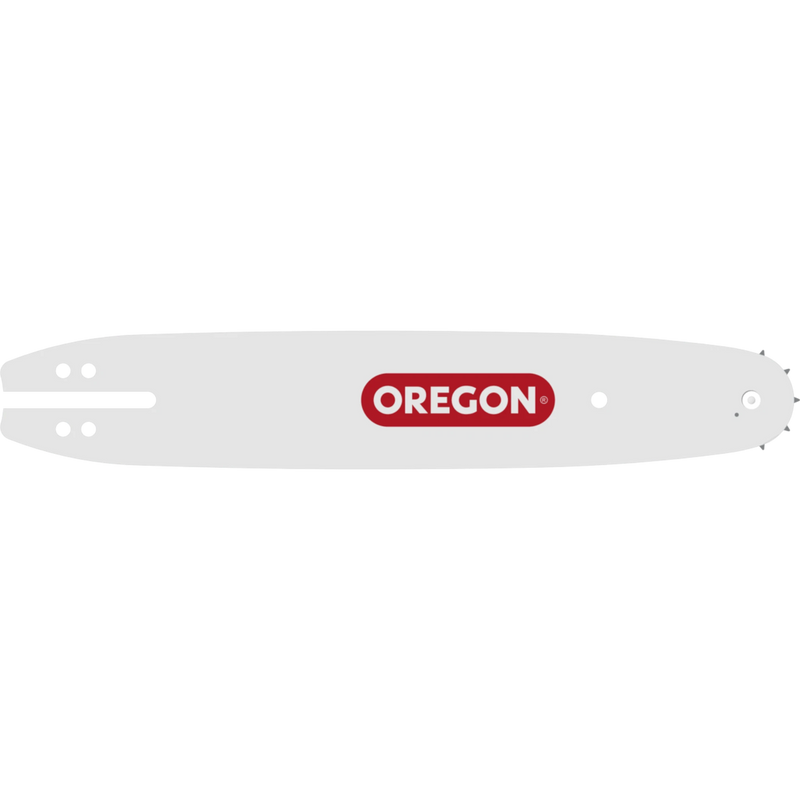 Load image into Gallery viewer, Oregon 10 inch Chainsaw Bar 100SDEA218
