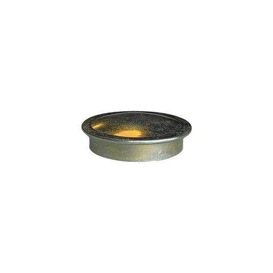 Scag Grease Cap 484195