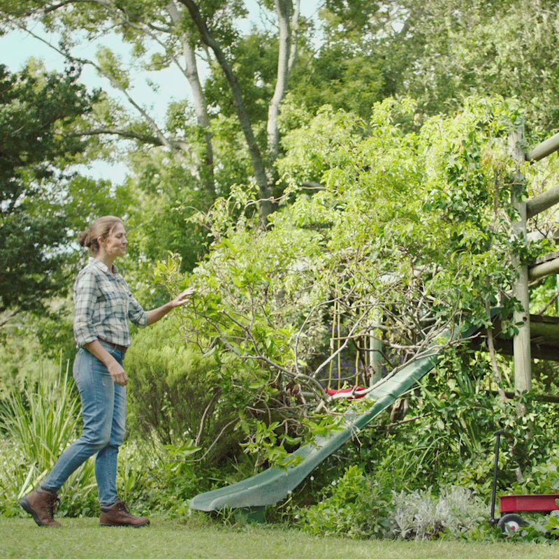 Load and play video in Gallery viewer, STIHL GTA 26 Battery Garden Pruner 
