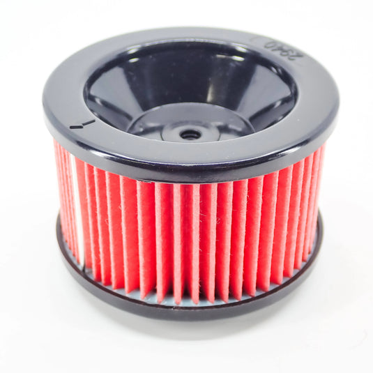 Echo CS 7310P, CS 7310PW Air Filter OEM A226002370
