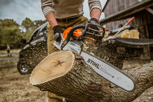 STIHL OEM Bar and Chain