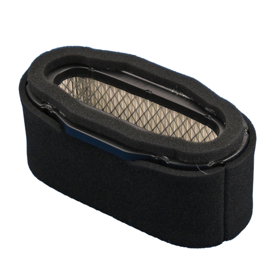 Kawasaki Air Filter Assembly 11029-7012 OEM